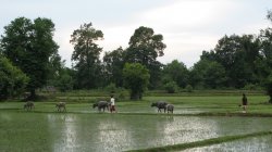 IMG_7818.jpg