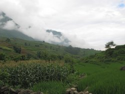 IMG_9088.jpg