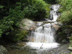 IMG_9226.jpg