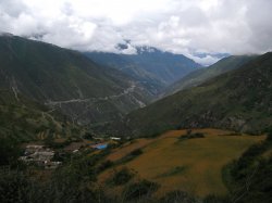 IMG_9812.jpg