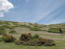 IMG_9847.jpg
